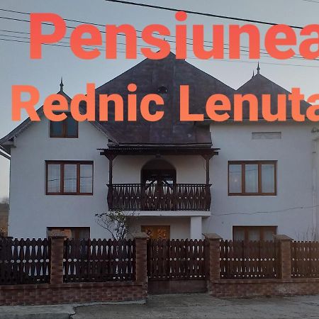 Pensiunea Rednic Lenuta Giulesti Eksteriør billede